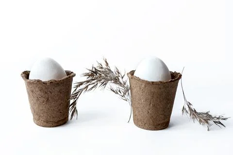 Ecological concept with Easter white eggs in peat pots on a white background. 库存照片