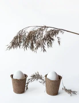 Ecological concept with Easter white eggs in peat pots on a white background. Stock Photos