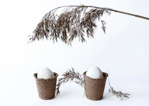 Ecological concept with Easter white eggs in peat pots on a white background. Stock Photos