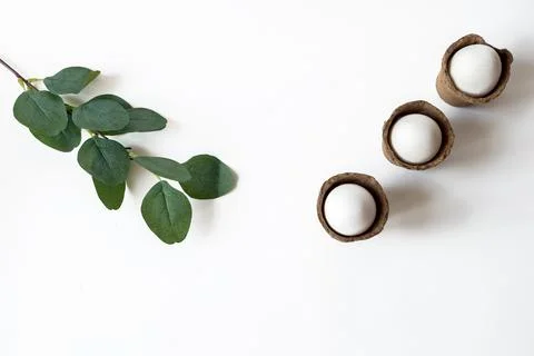 Ecological concept with Easter white eggs in peat pots on a white background. Foto stock