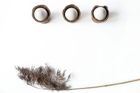 Ecological concept with Easter white eggs in peat pots on a white background. Stock Photos