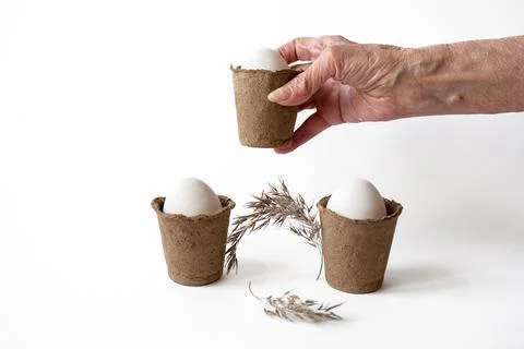 Ecological concept with Easter white eggs in peat pots on a white background. Stock Photos