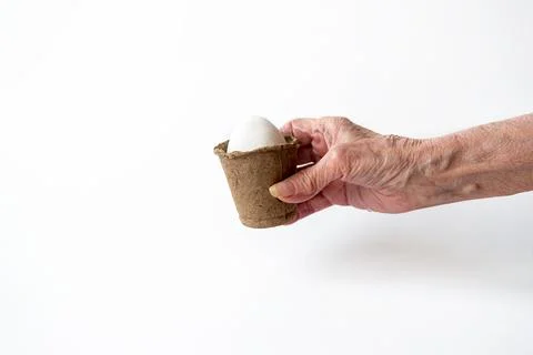 Ecological concept with Easter white eggs in peat pots on a white background. Stock Photos