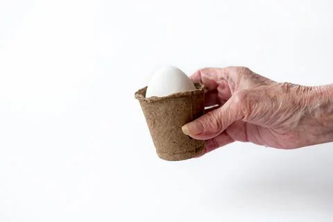 Ecological concept with Easter white eggs in peat pots on a white background. Stock Photos