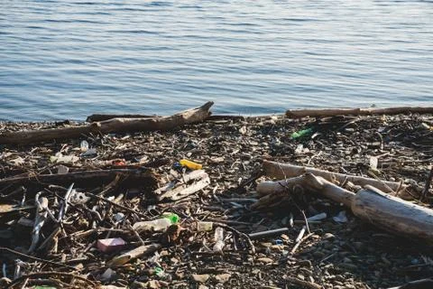Ecological concept. Ecology problems of the planet Earth. Rubbish in places of Stock Photos