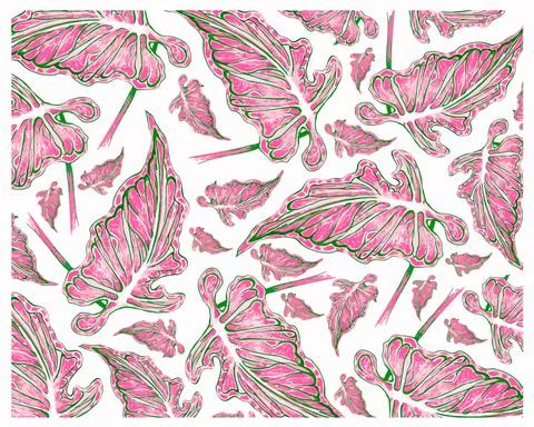Ecological Concept, Illustration Background of Elephant Ear, Colocasia, Calad 스톡 일러스트