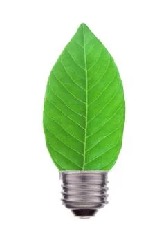 Ecological concept, leaf and lamp mix together isolated on white Stock Photos