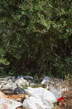 Ecological crisis. Different garbage and trash on a ground in the forest Stock Photos
