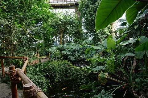 Ecological development of planet. Healthy trees in greenhouse, ecology of p.. Stock Photos