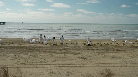 Ecological disaster in the Black Sea Vidéo 299563075