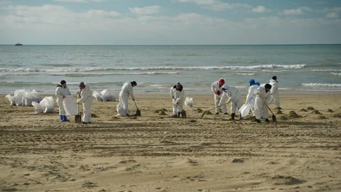 Ecological disaster in the Black Sea. Vidéo 299563241