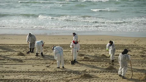 Ecological disaster in the Black Sea. Видео 299563577