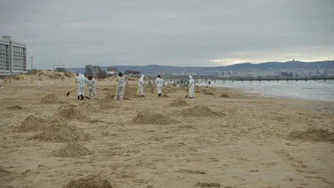 Ecological disaster in the Black Sea Vidéo 299563647