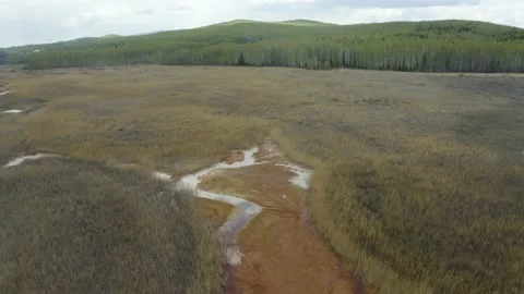 Ecological disaster, environmental pollution, consequences of copper smelter act Stock Footage 197107712