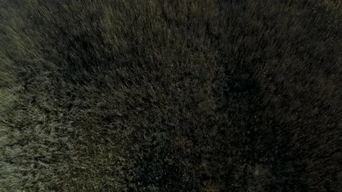 Ecological disaster, environmental pollution, consequences of copper smelter act Stock Footage 197109408