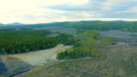 Ecological disaster, environmental pollution, consequences of copper smelter act Stock Footage 197111531