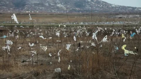 Ecological disaster Stock Footage 22110673