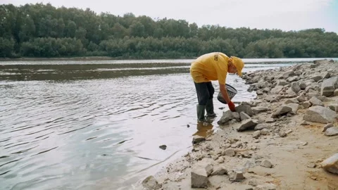 Ecological disaster. river pollution, mass death of fish Stock Footage 284169396