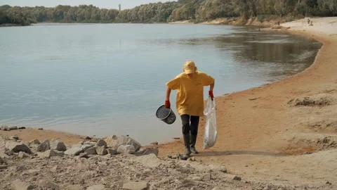 Ecological disaster. river pollution, mass death of fish Stock Footage 284169715