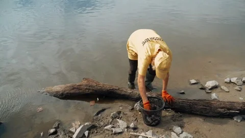 Ecological disaster. river pollution, mass death of fish Stock Footage 284169739