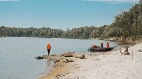 Ecological disaster. river pollution, mass death of fish Stock Footage 284169741