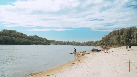 Ecological disaster. river pollution, mass death of fish Stock Footage 284169809