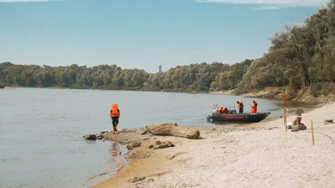 Ecological disaster. river pollution, mass death of fish Stock Footage 284169945