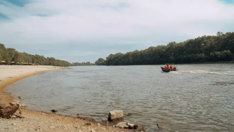 Ecological disaster. river pollution, mass death of fish Stock Footage 284169981
