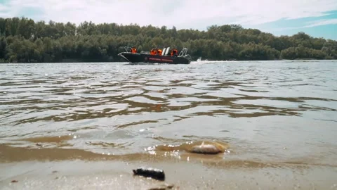 Ecological disaster. river pollution, mass death of fish 動画素材 284169982