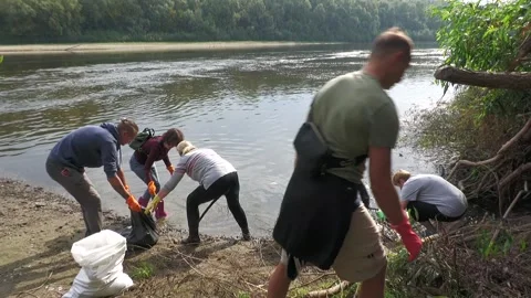 Ecological disaster. river pollution, mass death of fish Stock Footage 295074422