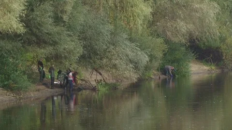 Ecological disaster. river pollution, mass death of fish Stock Footage 295074426