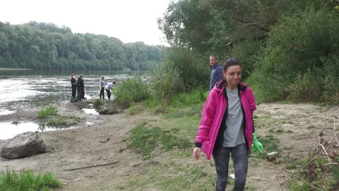 Ecological disaster. river pollution, mass death of fish Stock Footage 295074428