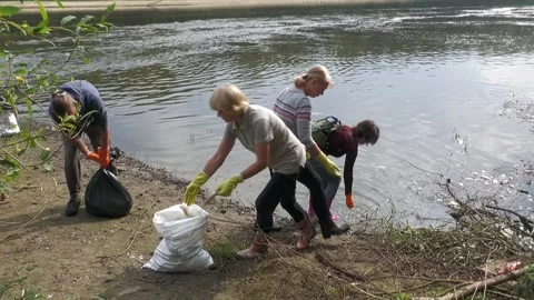 Ecological disaster. river pollution, mass death of fish Stock Footage 295074435