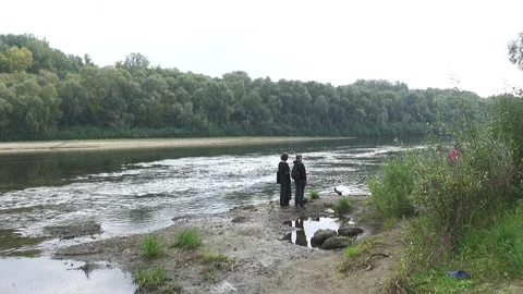 Ecological disaster. river pollution, mass death of fish Stock Footage 295074436