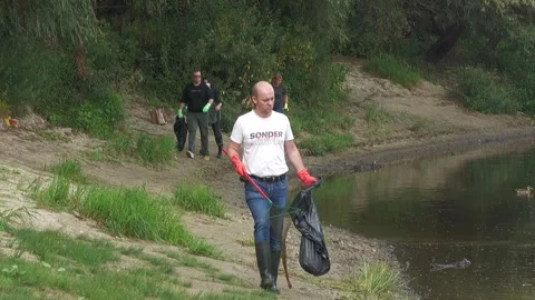 Ecological disaster. river pollution, mass death of fish Stock Footage 295074447