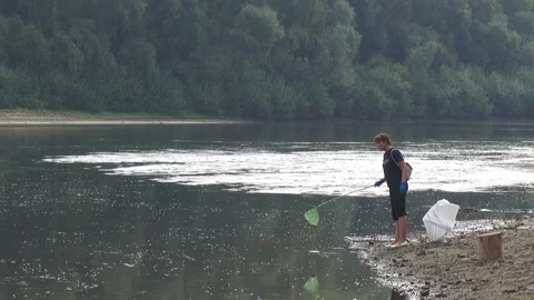 Ecological disaster. river pollution, mass death of fish Stock Footage 295074530