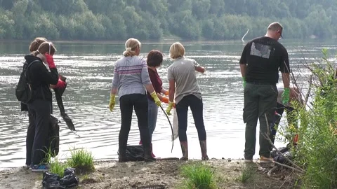 Ecological disaster. river pollution, mass death of fish Stock Footage 295074531