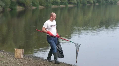 Ecological disaster. river pollution, mass death of fish Stock Footage 295074533