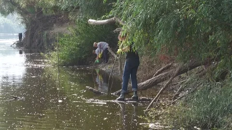 Ecological disaster. river pollution, mass death of fish Stock Footage 295074683