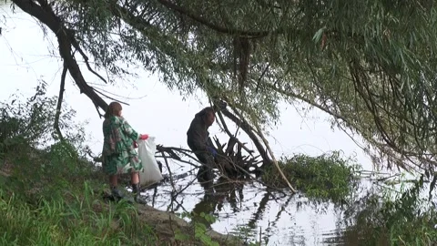 Ecological disaster. river pollution, mass death of fish Stock Footage 295074700