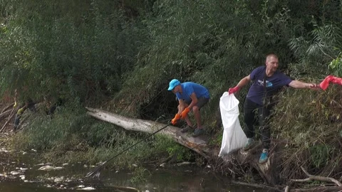Ecological disaster. river pollution, mass death of fish Stock Footage 295074703