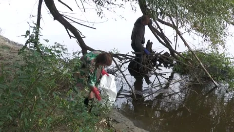 Ecological disaster. river pollution, mass death of fish Stock Footage 295074705