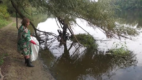 Ecological disaster. river pollution, mass death of fish Stock Footage 295075006