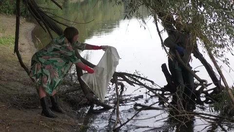 Ecological disaster. river pollution, mass death of fish Stock Footage 295075098