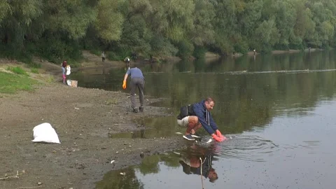 Ecological disaster. river pollution, mass death Stock Footage 295075942