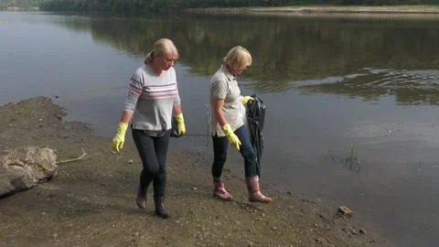 Ecological disaster. river pollution, mass death of fish Stock Footage 295076202