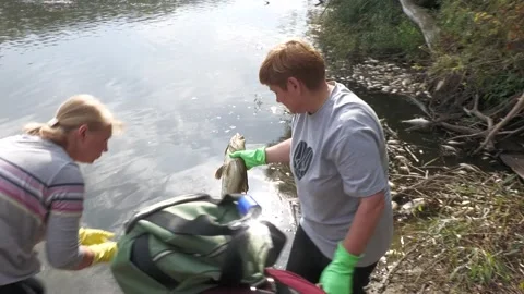 Ecological disaster. river pollution, mass death of fish Stock Footage 295076640