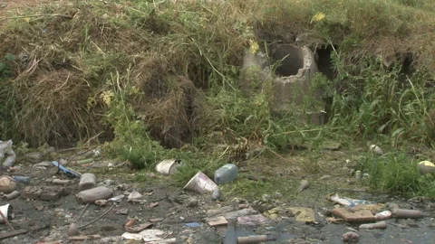 Ecological disaster of water resources Video stock 134581198