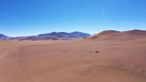 Ecological documentary, beautiful sheep, Gobi, desert, Western Gobi Stock-Footage 241972638