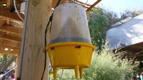 Ecological  insect trap Stock Footage 64901904